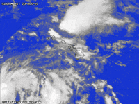 duke kahanamoku weather GIF
