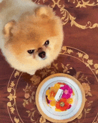 Birthday Cake Kroshka GIF