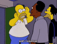 homer simpson GIF