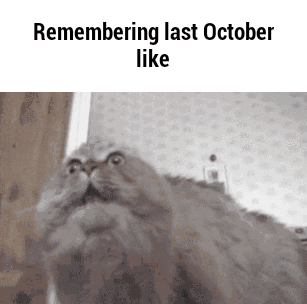 month GIF