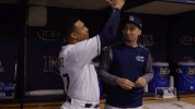 celebration gomez GIF by MLB