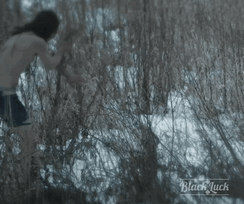 freezing stone cold GIF by Black Luck