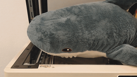 comspace giphyupload office bored shark GIF