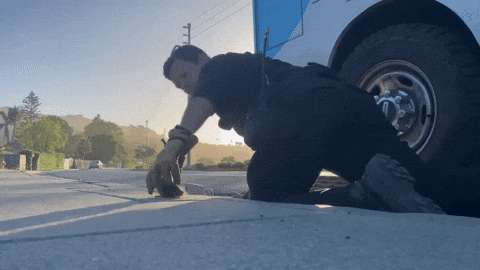 cuteanimalland giphyupload GIF