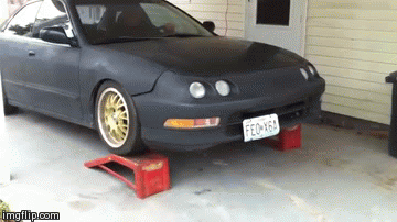 bumper GIF