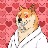 Shiba Inu What GIF by Doge Pound