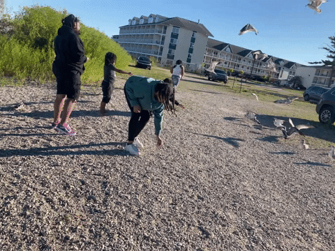 idrisbusari giphyupload michigan fort michilimackinac busari family GIF