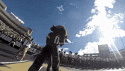 proud flag GIF by CUBoulder