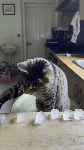 Satisfying Ice Cubes GIF