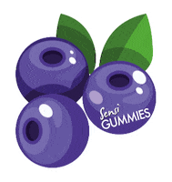 Blueberry Gummies Sticker by Sensi Signature Products