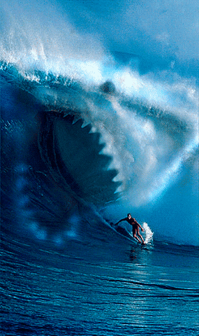 sea GIF