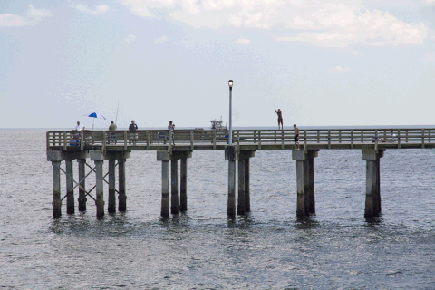 coney island GIF