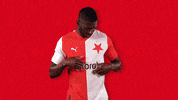 Football Soccer GIF by SK Slavia Praha