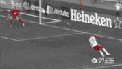 soccer mls GIF by D.C. United