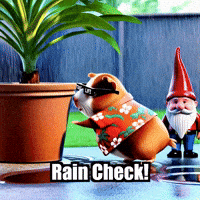 Garden Rain Check GIF by Guinea Gambino