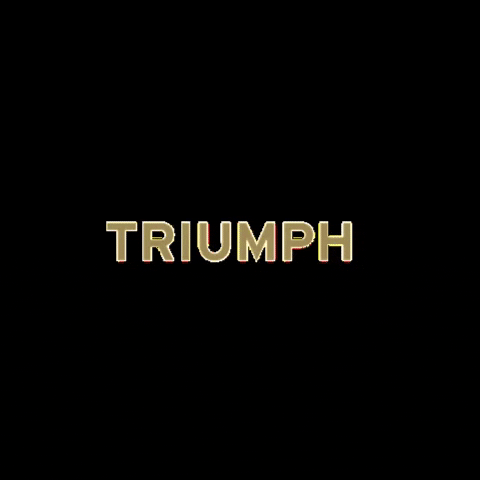 TriumphStudio triumphstudio GIF
