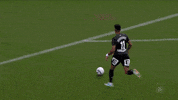 Football Soccer GIF by SK Sturm Graz