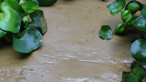 Stop Motion Fruit GIF by CreativeCooking