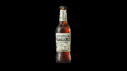 Zum Wohl India Pale Ale GIF by Brauerei Schützengarten AG