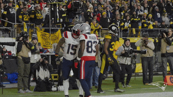 Nfl GIF by New England Patriots