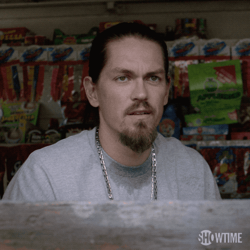 season 3 showtime GIF by Shameless