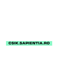 Sapientia Sticker by Gödri Csilla