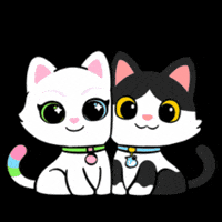 Cat Fun GIF by UpStudiosWorld