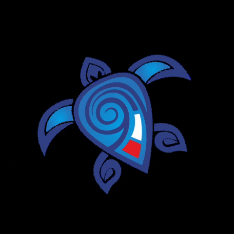 GrecjaMagicTours giphyupload magic zakynthos magictours GIF