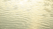 Joeyvdl water gold flow river GIF