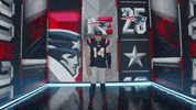 Football Smile GIF by New England Patriots