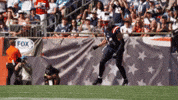 Football Nfl GIF by New England Patriots