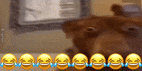 Dog GIF