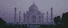 Taj Mahal Travel GIF
