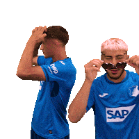 Sport Bundesliga Sticker by TSG Hoffenheim
