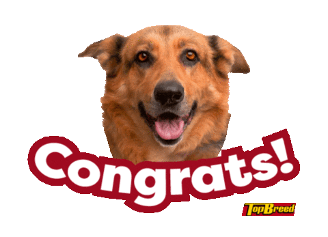 UniversalRobinaCorporation giphyupload doggo pupper dogmom Sticker
