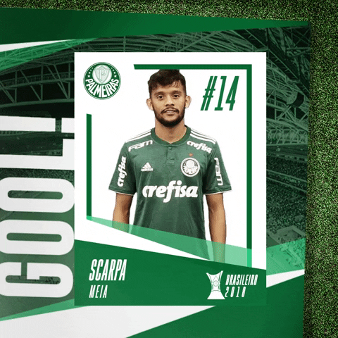 gustavo scarpa GIF by SE Palmeiras