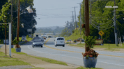 viceland GIF by Kentucky Ayahuasca