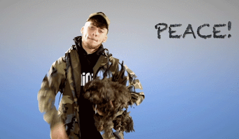 peace GIF by MIC LOWRY