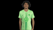 France Lol GIF by VfL Wolfsburg