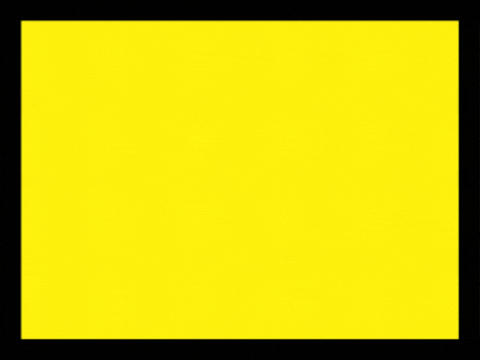 PrivataMX giphygifmaker GIF