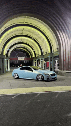 Saucy_37 saucy g37 saucy37 vq society GIF