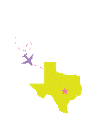 Texas Flight Sticker