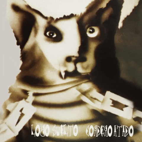 Patricio Rey Y Sus Redonditos De Ricota Argentina GIF
