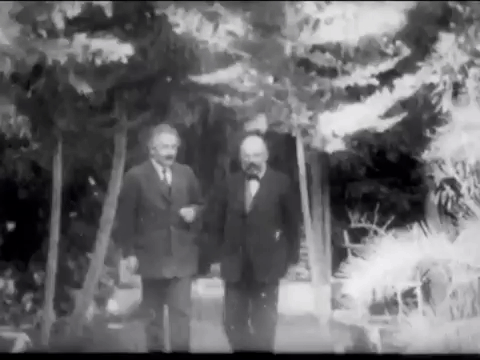albert einstein GIF