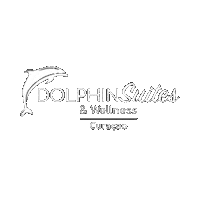Dolphinsuitescuracao curaçao rediscover tropicalgetaway dolphinsuites Sticker