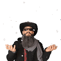 El Oso Bobo Music Sticker by BOBO