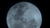 symphony for our world GIF by Nat Geo Wild 
