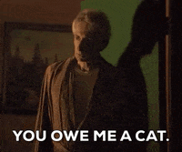 season 1 friends GIF