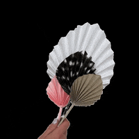 Studiocooliejoelie studiocooliejoelie GIF