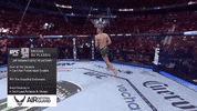Mixed Martial Arts Sport GIF by UFC